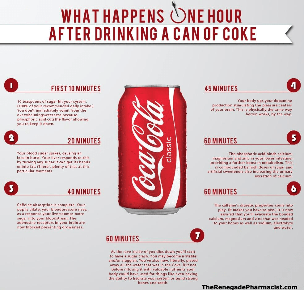 An infographic about what happens after drinking a can of coke.